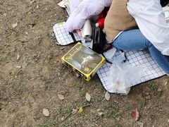 -重庆彩云湖湿地公园