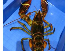-蟹后Crabber(水悦城店)