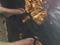 -宝丽金大酒店·洗浴中心