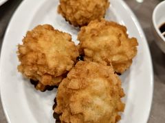 -丁老爷子苏香圆