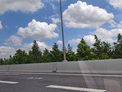 -马陆小张葡萄园农家乐