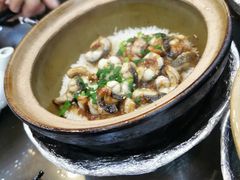金牌白鳝饭-红星光发煲仔饭(文海店)