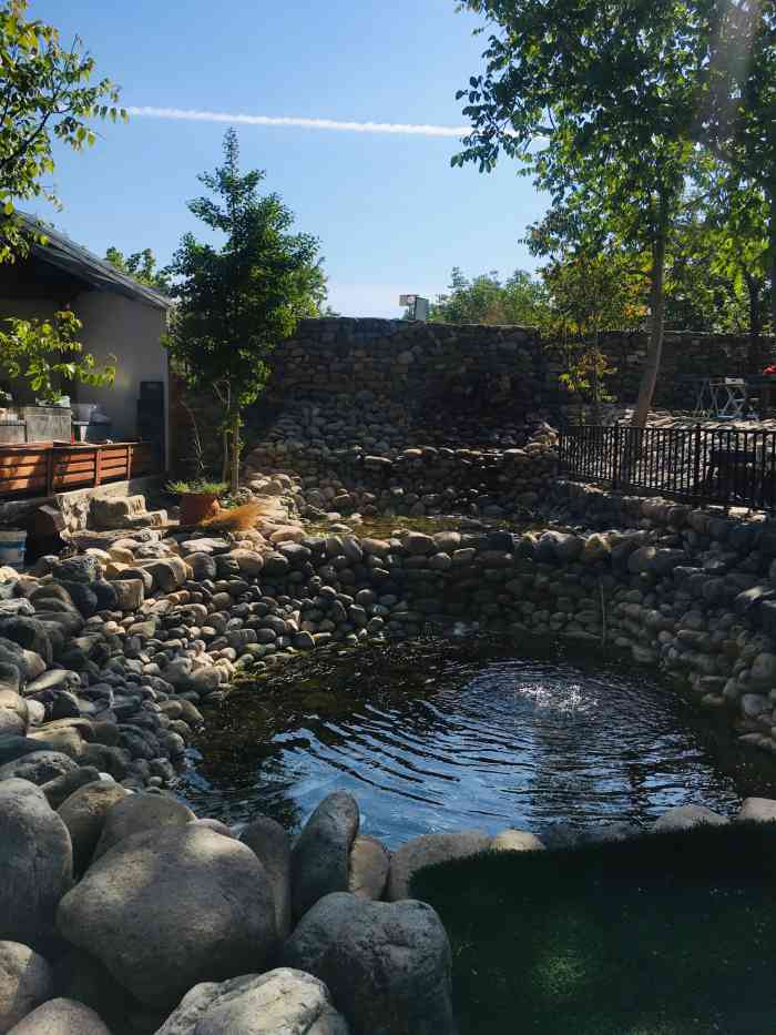 宽沟宸居小院(亲子烧烤生态园)-"闺蜜聚餐 [薄荷]环境:环境惬意美好,.