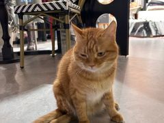 -大叔家福鼎小吃(十全街店)