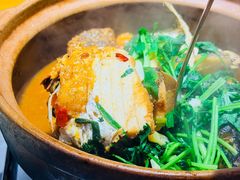 -九道菜有鸡鱼头(石鼓路店)