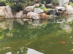 -南宁荔园维景国际酒店·荔园中餐厅