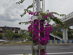 -百林公园-两江幸福广场