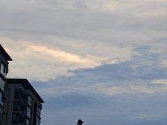 -青年公社烤鸭(蜀山万象汇店)
