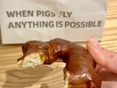 -WHEN PIGS FLY当猪飞