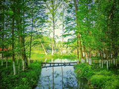 -桤木河湿地公园