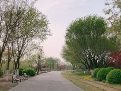 -永定河休闲森林公园