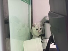 -半岛宠物医院24小时(科华中路店)