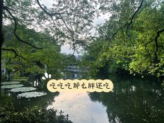 -杭州西湖柳莺里酒店