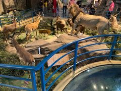 -陕西自然博物馆