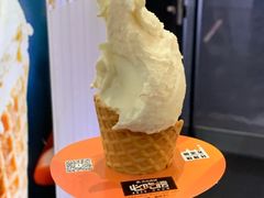 -野人先生现做冰淇淋(北京顺义祥云小镇店)