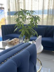 -郑荃丽格医疗美容