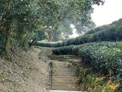 -西湖风景区十里琅珰-五云山