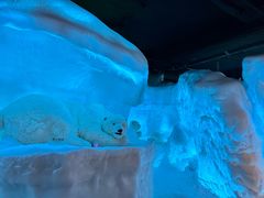 -海合安武汉极地海洋公园