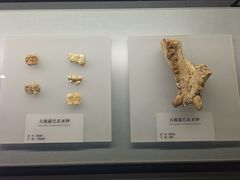 -湖南省地质博物馆