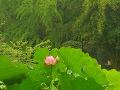 -四川大学(华西校区)