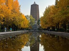 -玲珑塔公园
