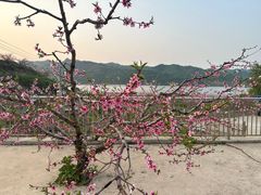 -河口景区