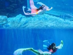 -华夏文旅海洋公园