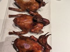 -侨美食家·40年地道粤菜(珠江新城店)
