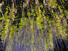 -天津意大利风情旅游区