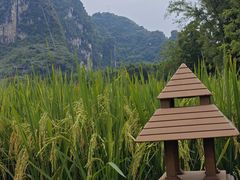 -明仕田园