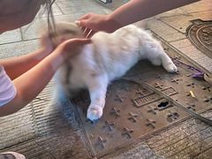 -花间小酌火锅小酒馆(吕四店)
