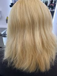 -HaLo hair studio