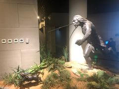 -北京周口店北京人遗址博物馆