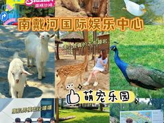 -南戴河国际娱乐中心