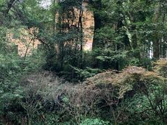 -缙云山景区