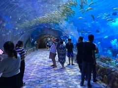 -华夏文旅西安度假区