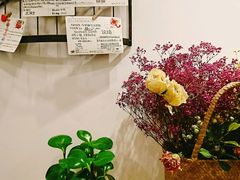 明信片-猫的天空之城概念书店(印象城购物中心店)