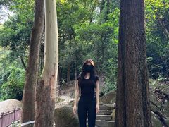 -火炉山森林公园