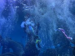 -哈尔滨波塞冬海底世界