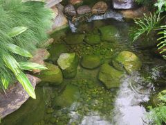 -南山植物园
