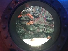 -大连圣亚海洋世界