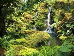 -Chom Cafe and Restaurant