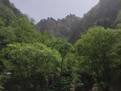 -北京上方山国家森林公园