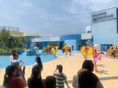 -芜湖新华联大白鲸海洋公园