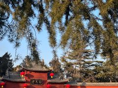 -洛阳白马寺