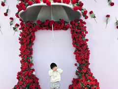 -皇城恒隆广场