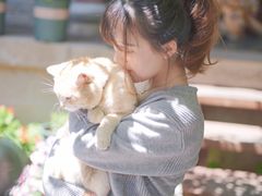-炊烟餐厅