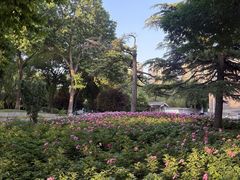 -丰台花园