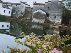 -东梓关景区村庄