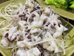 芥末白灼八爪鱼-贞姨美食·老字号海鲜大排档